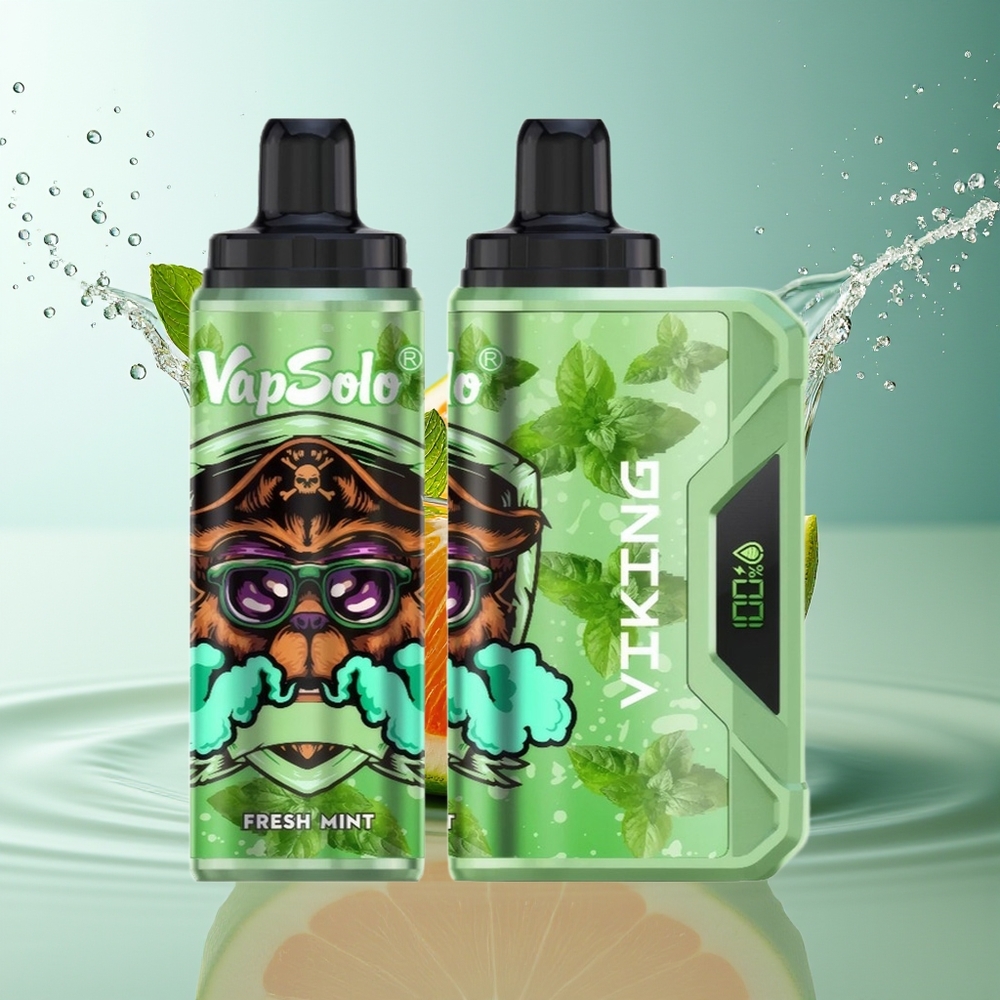 VapSolo VIKING 12000 Puffs Wegwerp Vape Frisse Munt 22ml Type-C LED Display
