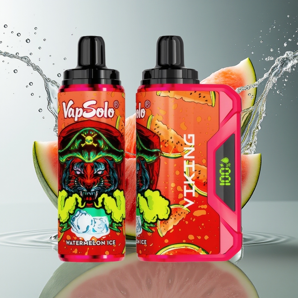VapSolo VIKING 12000 Puffs Wegwerp Vape Watermeloen IJs met 22ml & Type-C