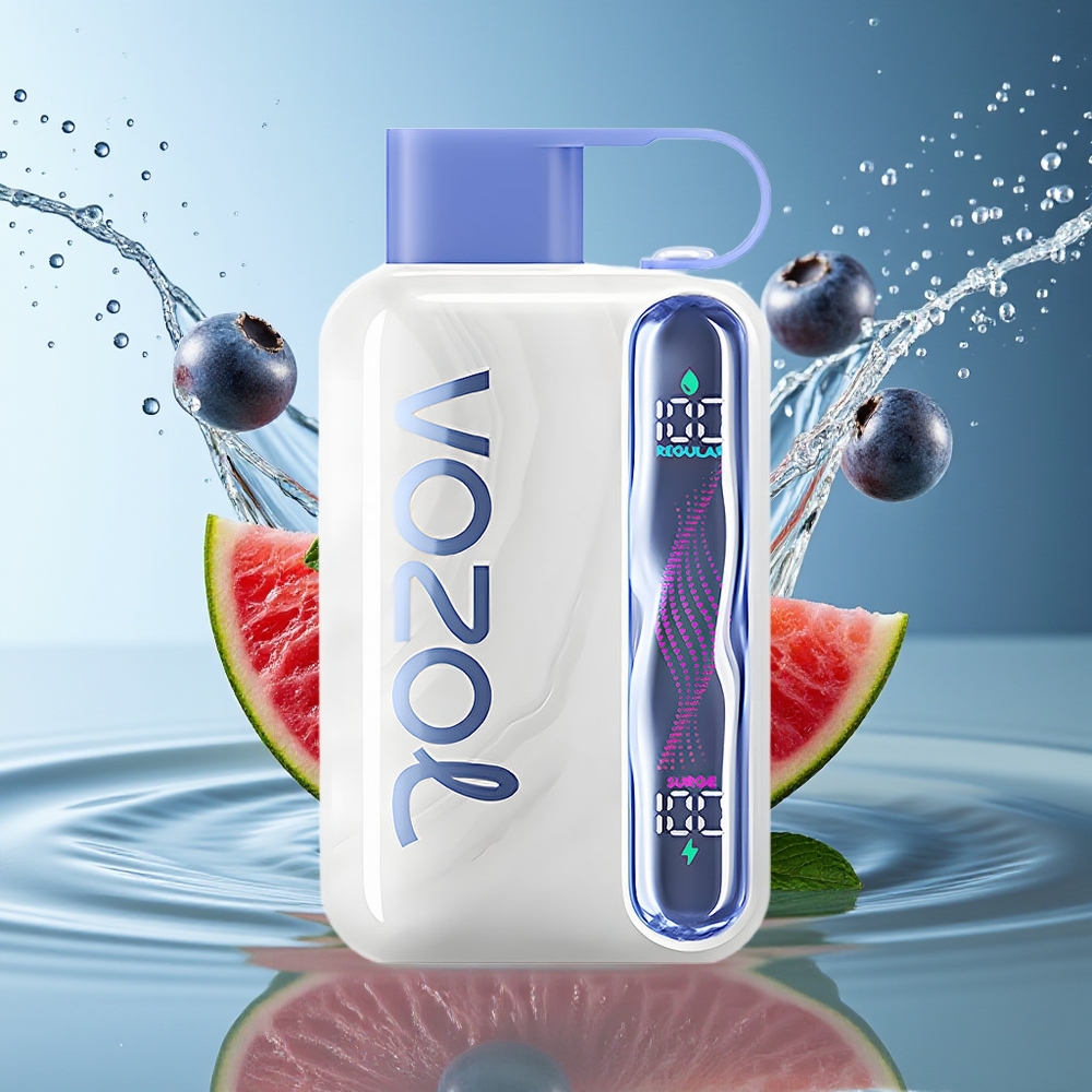 VOZOL STAR 40000 Puffs Blauwe Bes Munt 1000mAh Type-C 20/50mg/ml