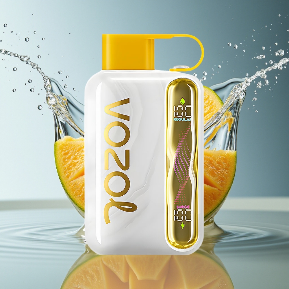 VOZOL STAR 40000 Puffs Mango IJs Wegwerp Vape 1000mAh Type-C 20/50mg/ml