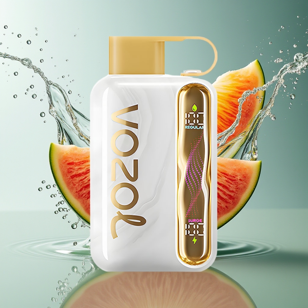 VOZOL STAR 40000 Puffs Meloen Ijs Wegwerp Vape 1000mAh Type-C 20/50mg/ml