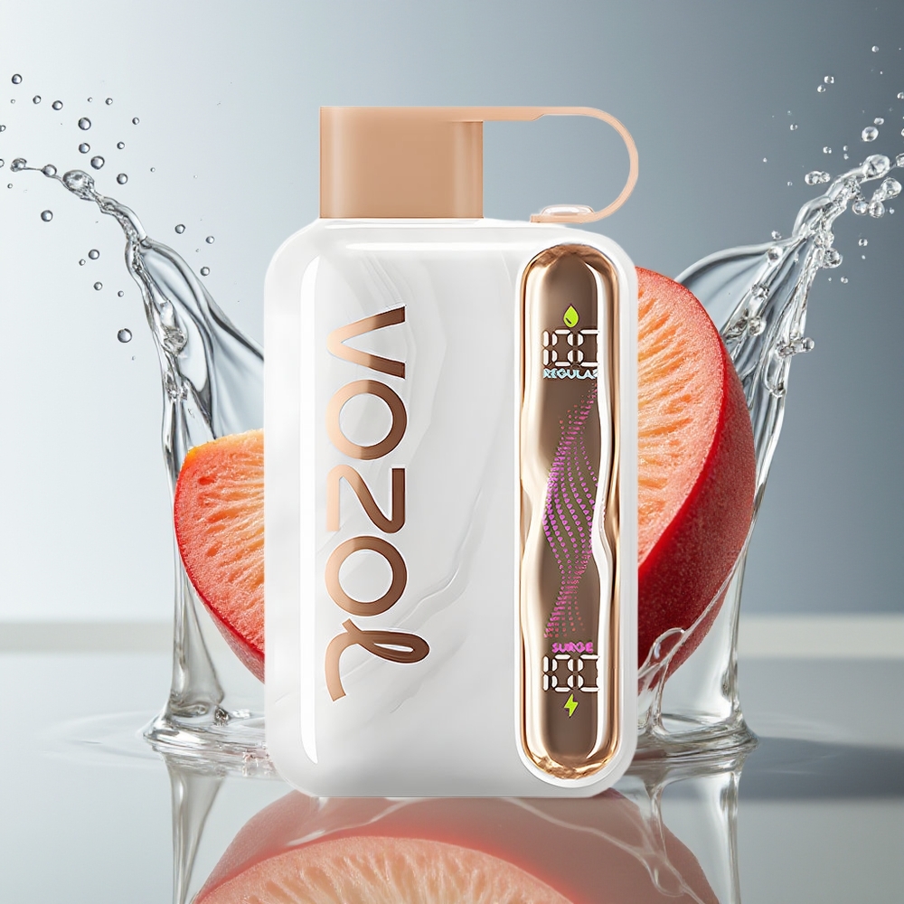 VOZOL STAR 40000 Puffs Perzijs IJs 1000mAh Type-C 20/50mg/ml
