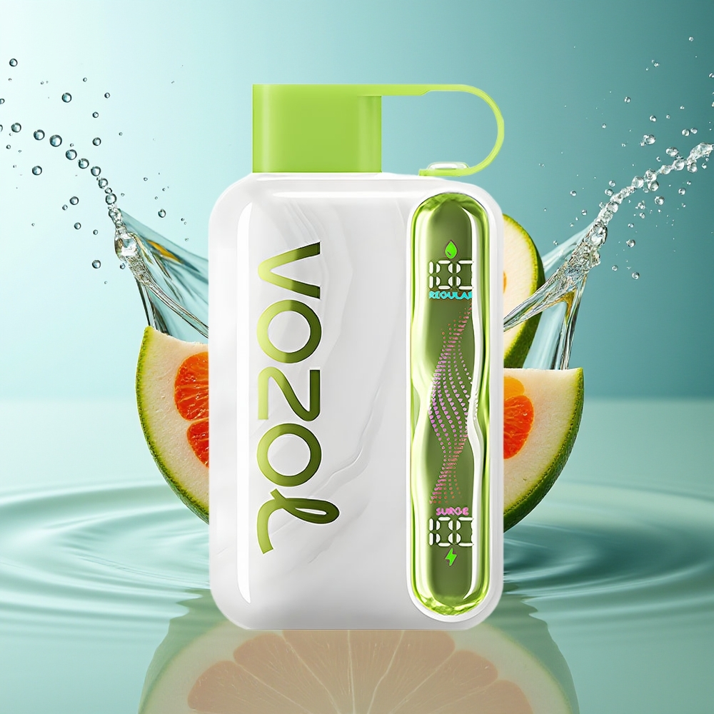 VOZOL STAR 40000 Puffs Verfrissende Munt 1000mAh Type-C 20/50mg/ml