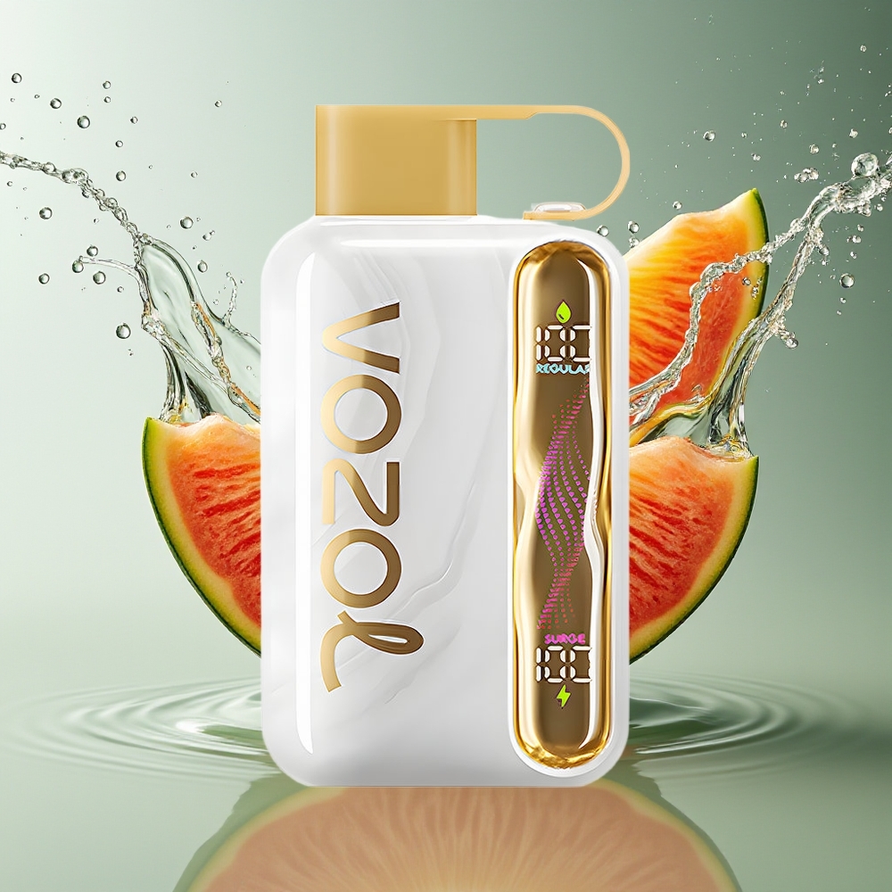 VOZOL STAR 40000 Puffs Wegwerp Vape Meloenkauwgom 1000mAh Type-C 20/50mg/ml