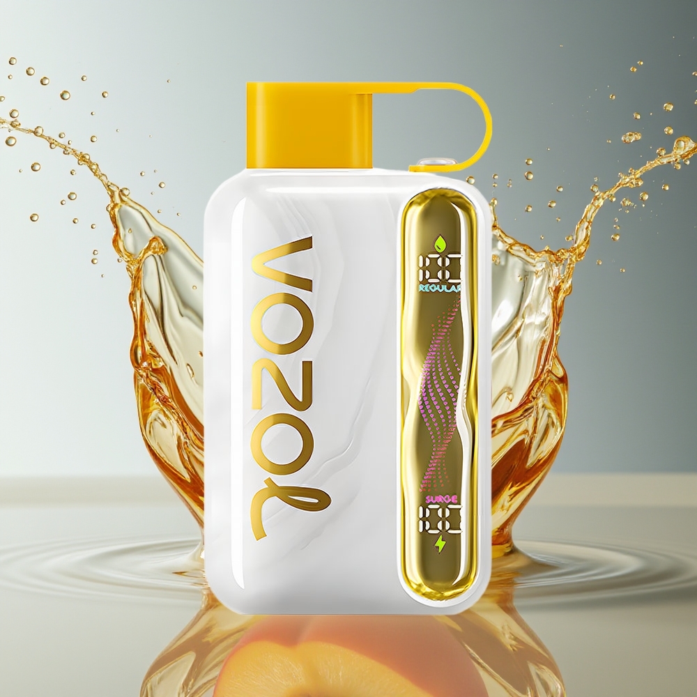 VOZOL STAR 40000 Pufs Wegwerp Vape Mango Perzik 1000mAh Type-C 20/50mg/ml
