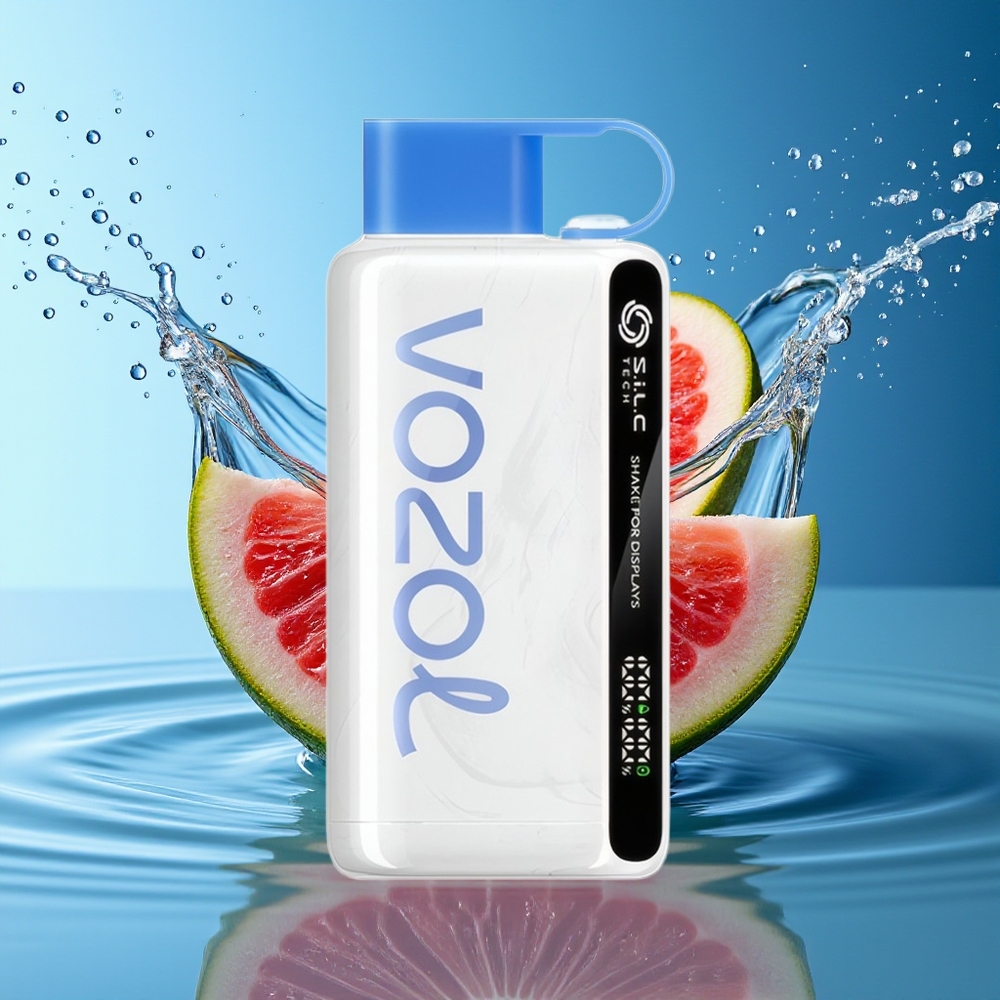 VOZOL STAR 9000/12000 Blauwe Framboos Ijs Wegwerp Vape met S.i.L.C TECH & 650mAh