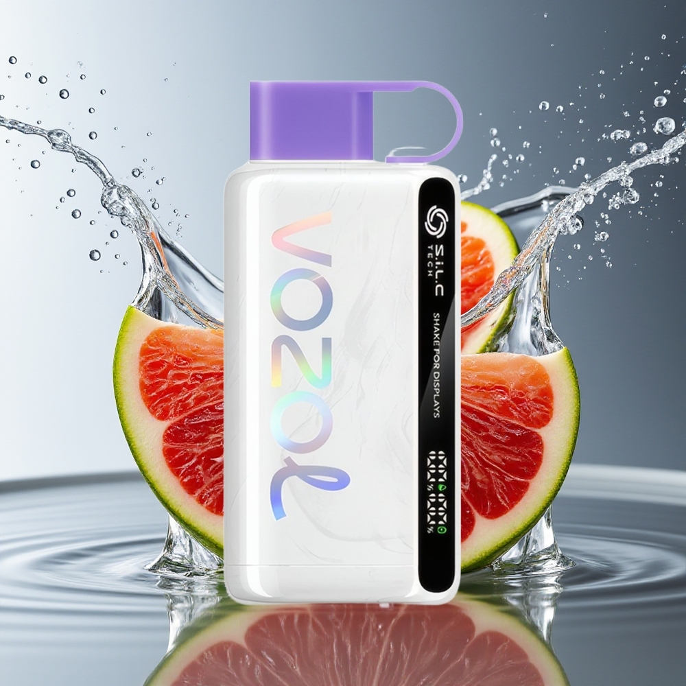 VOZOL STAR 9000/12000 Wegwerp Vape Druif Ijs S.i.L.C TECH 650mAh 30% Snellader